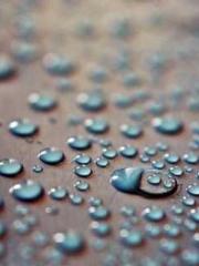 The young masterapos