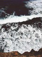 The Realm of the Dao