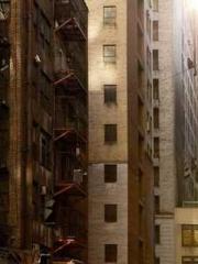 Transmigration: Feel