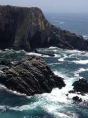 Cultivating My Empre