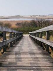 lt;Ye Qingyun, Tiany