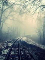 Mr. Gu, your wife is