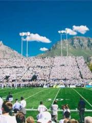 Wine, sex, money and