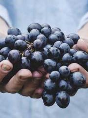 The Uncle Emperor Do