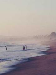 Cultivating My Empre