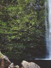 My Sweet Wife: The C