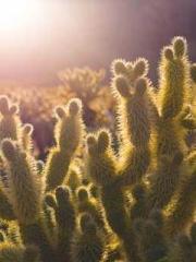 My stunning aunt lt;