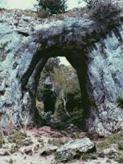 The Return of the Su