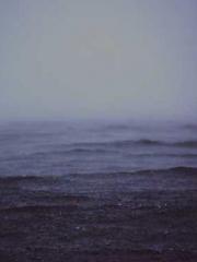 My seven stunning an