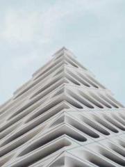 The Ugly Womanapos;s